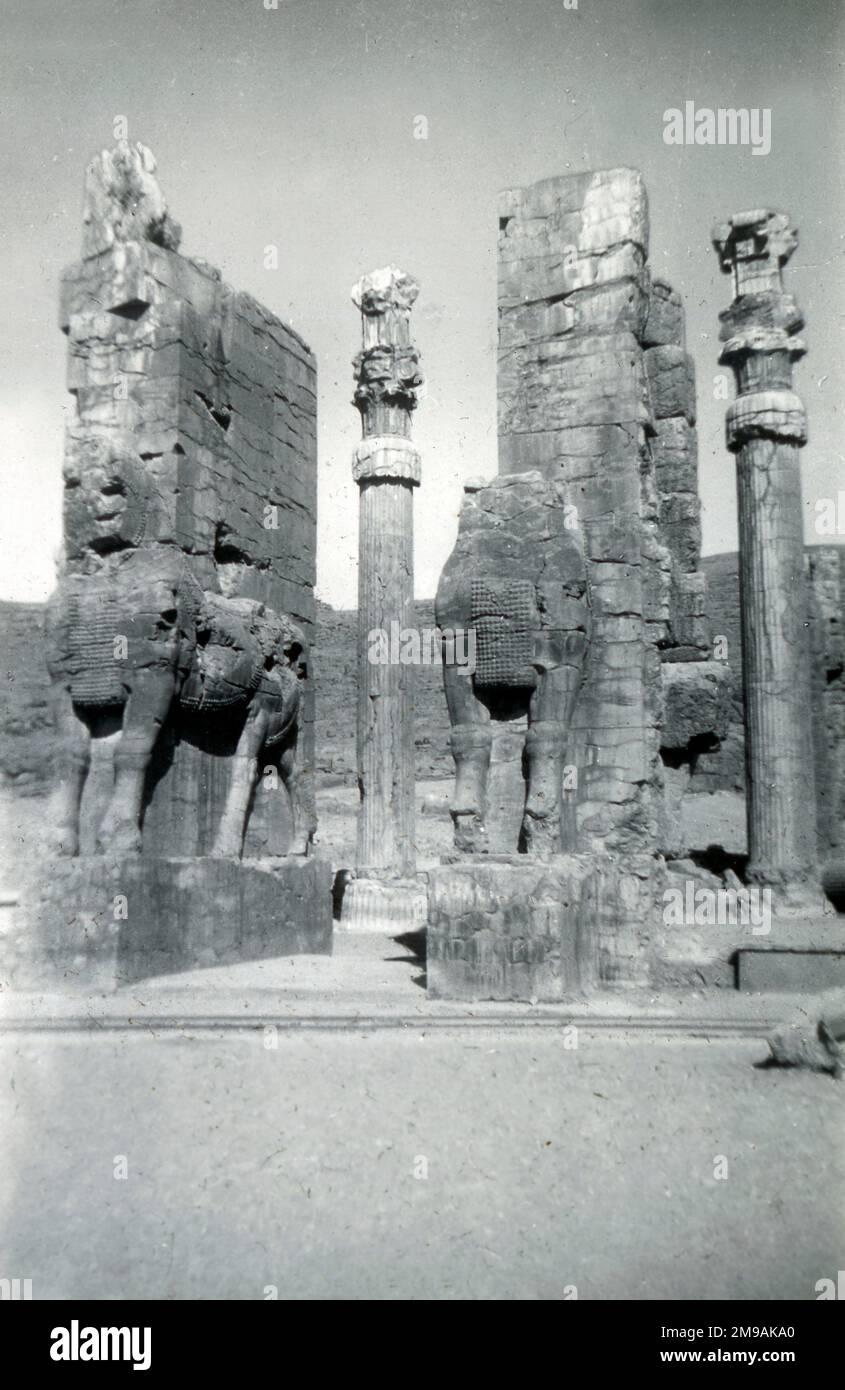 Paire de taureaux ailés au Hall of All the Nations, Persepolis, Iran. Banque D'Images