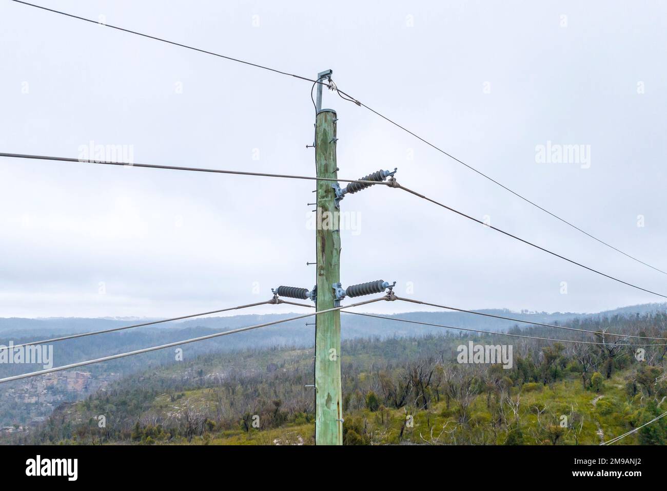 Photographie aérienne de drone d'un poteau de ligne électrique en bois vert avec une multitude de fils de transmission et de connecteurs Banque D'Images