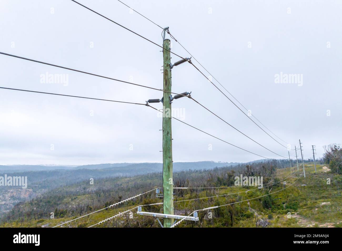Photographie aérienne de drone d'un poteau de ligne électrique en bois vert avec une multitude de fils de transmission et de connecteurs Banque D'Images
