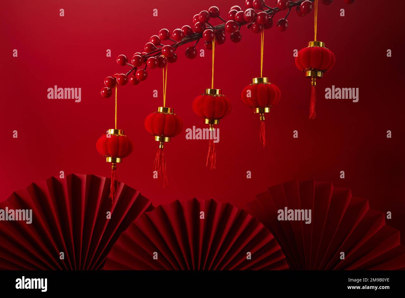 Nouvel an chinois avec branche sakura et lanternes Banque D'Images