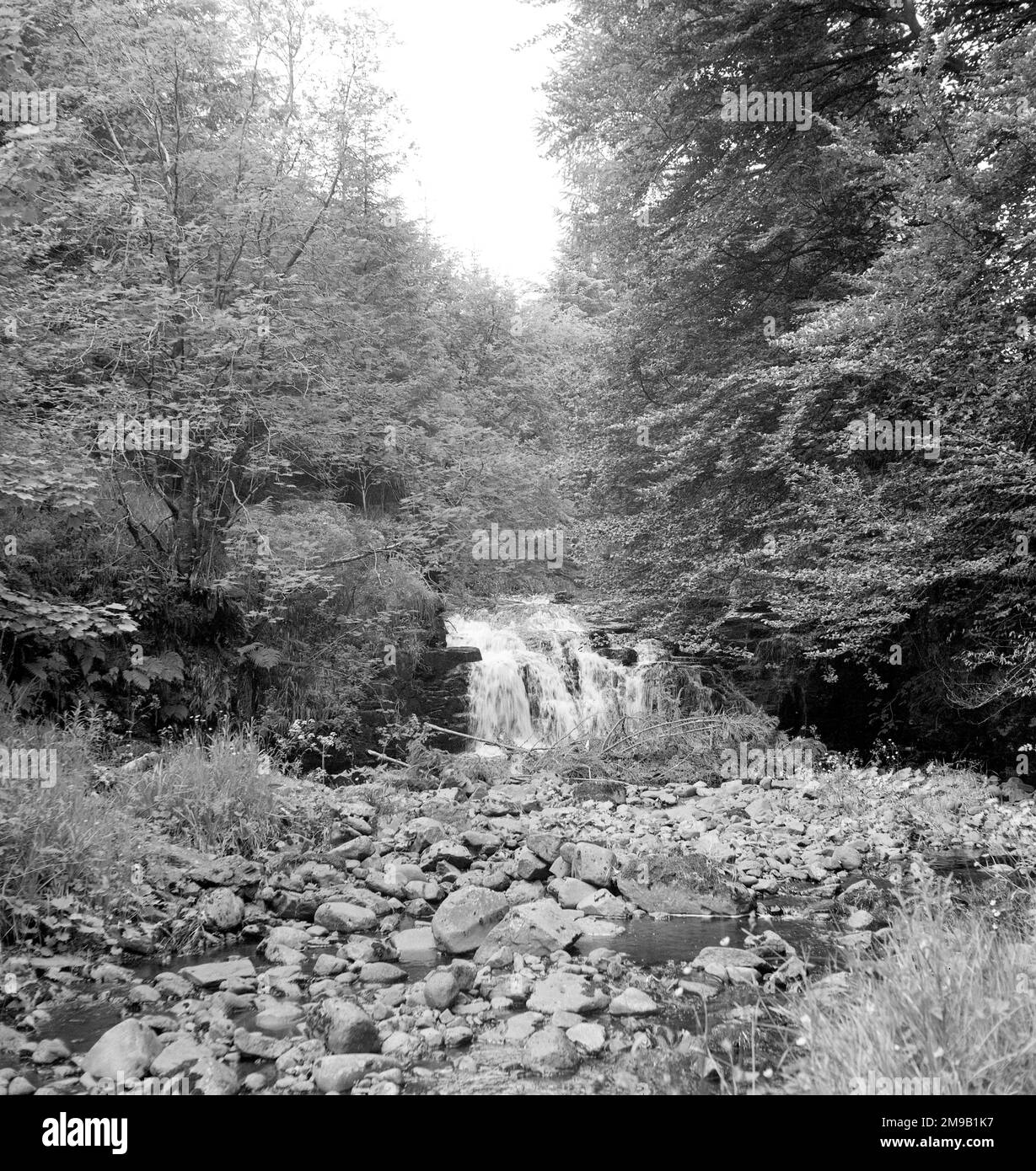 Quartier des lacs : cascade pittoresque Banque D'Images