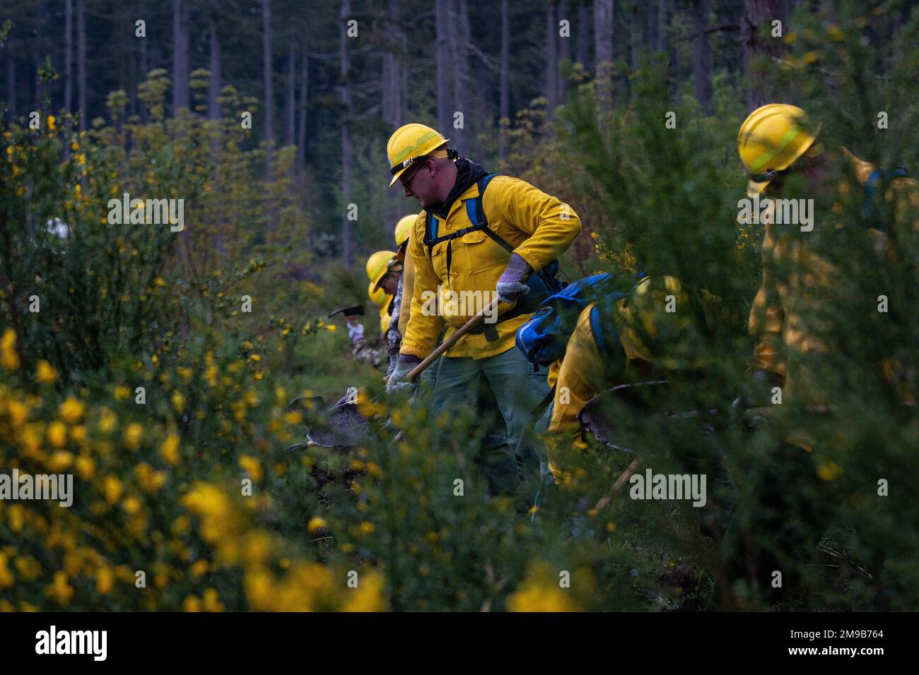 Les membres du service de la Garde nationale de Washington reçoivent une formation en préparation à la prochaine saison des feux de forêt pendant l'académie interagences de formation aux incendies de forêt du département des Ressources naturelles de l'État de Washington, près de Roy, Washington, 15 mai 2022. La formation comprenait la familiarisation avec les outils à main, la construction de lignes et les tactiques, le déploiement d'abris d'incendie et l'évitement de piégeage. Banque D'Images