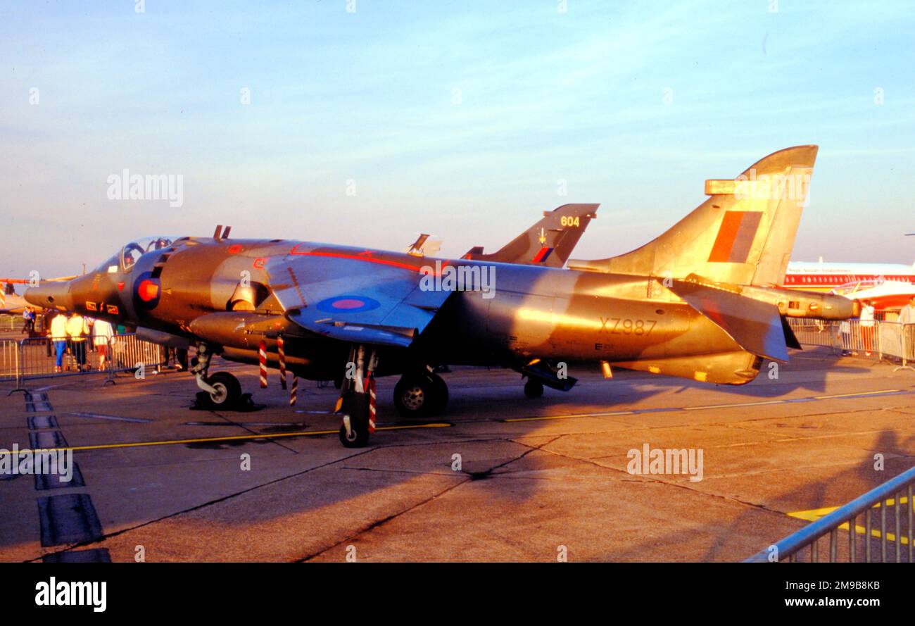 Royal Air Force - Hawker Siddeley Harrier GR.3 XZ987 (msn 712210), de l'escadron n°4, à l'exposition de la bataille d'Angleterre de la RAF Finningley en septembre 1986. Banque D'Images