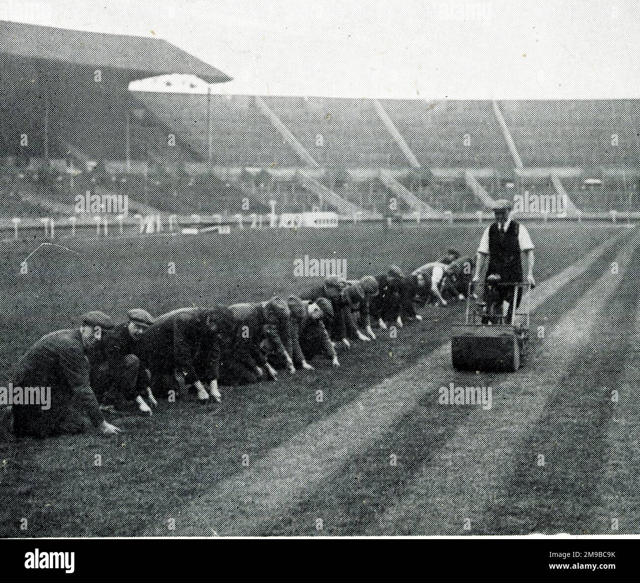 Tondre et désherber le terrain du stade Wembley avant la finale de la coupe FA Banque D'Images