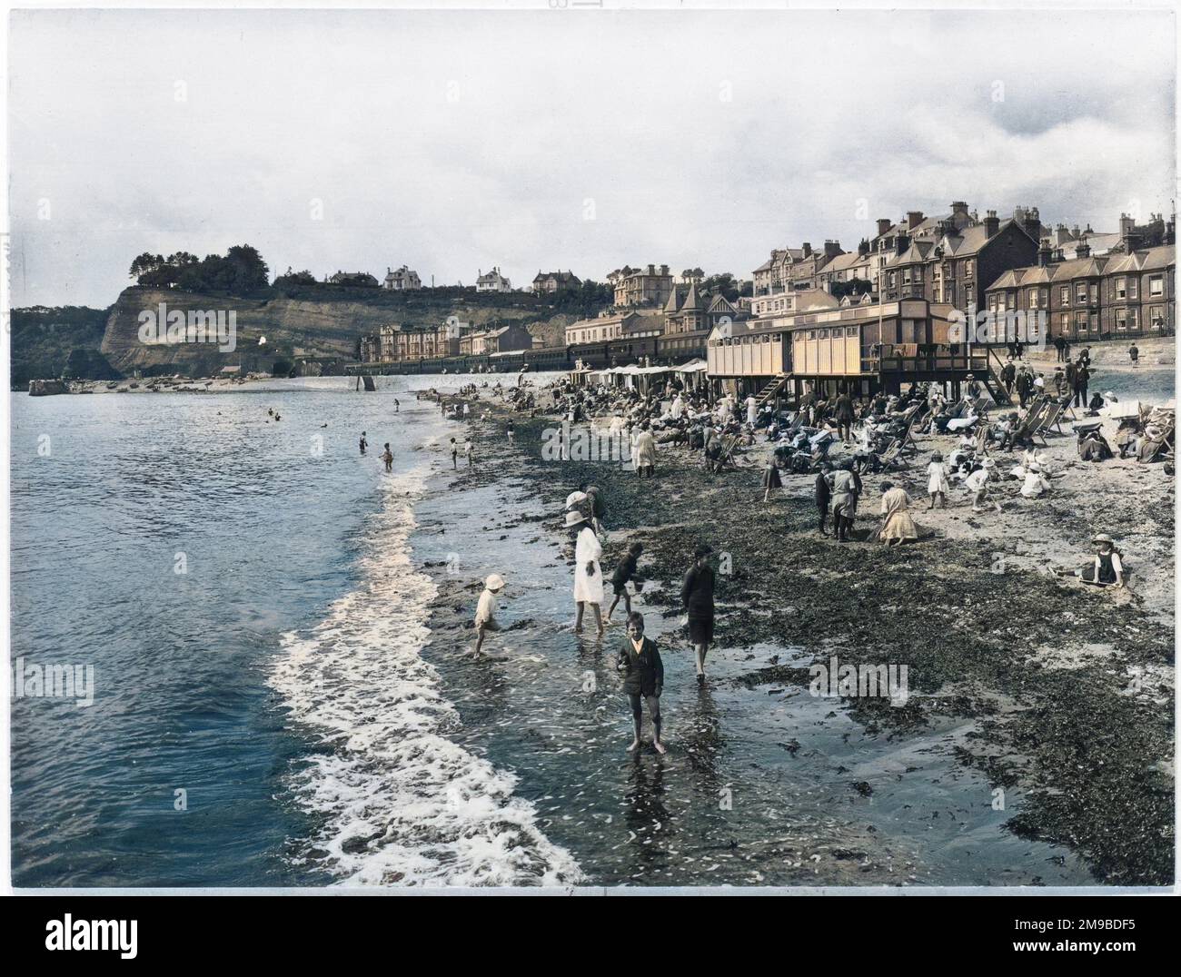 La plage de Dawlish, Devon, à marée basse : la marée a lavé une énorme quantité d'algues qui se trouve entre le sable et l'eau. Banque D'Images