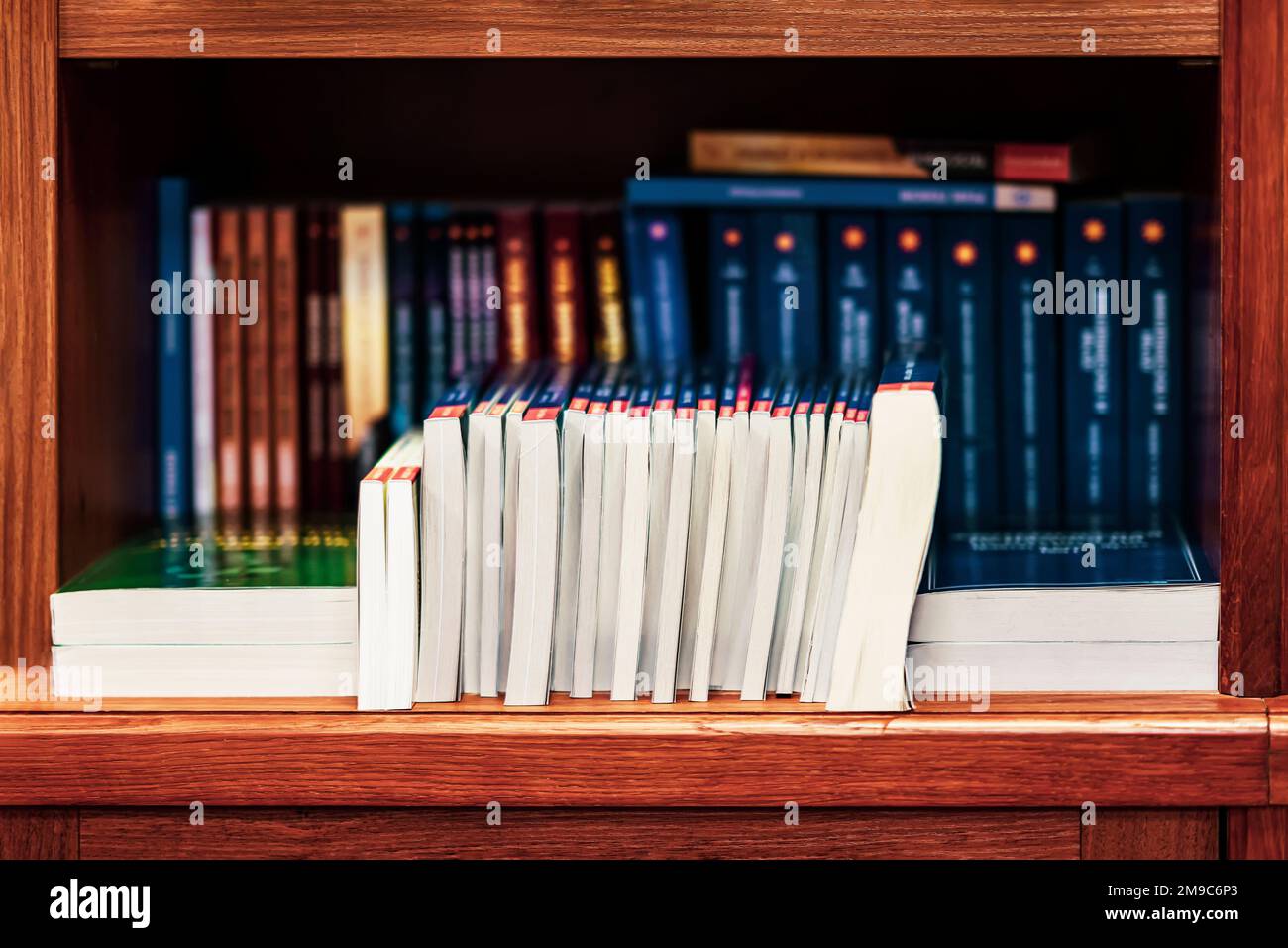 Étagère de librairie avec rangée de livres de poche en premier plan. Éducation, école, étude, concept de lecture Banque D'Images