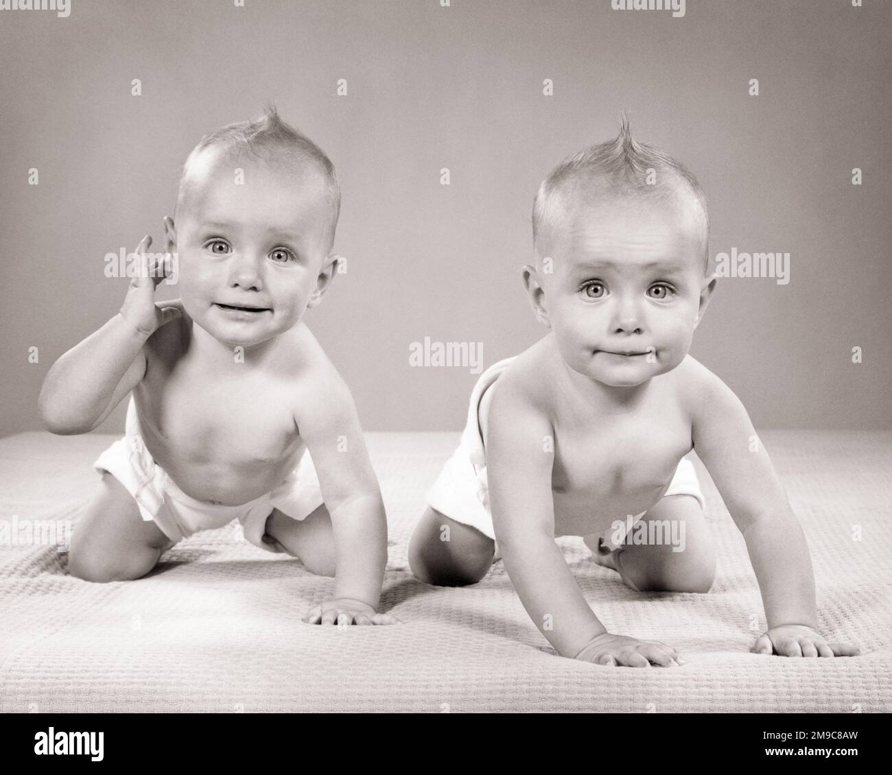 1950S TWIN BÉBÉ FILLES RAMPANT EN AVANT PORTANT DES COUCHES REGARDANT L'APPAREIL PHOTO - B9454 HAR001 HARS CONFIDENCE RAMPANT COUCHES OEIL B&W. CONTACT CORRESPONDANT MÊME BONHEUR AVENTURE DÉCOUVERTE EXCITATION COUCHES FRÈRE-SŒUR ASPECT-SEMBLABLE AGRÉABLE AGRÉABLE CHARME DUPLICATA JUVÉNILES DE CROISSANCE ONT L'AIR AUSSI AGRÉABLE AGRÉABLE ENSEMBLE ADORABLE ADORABLE PETITE FILLE NOIR ET BLANC CLONE HAR001 À L'ANCIENNE Banque D'Images