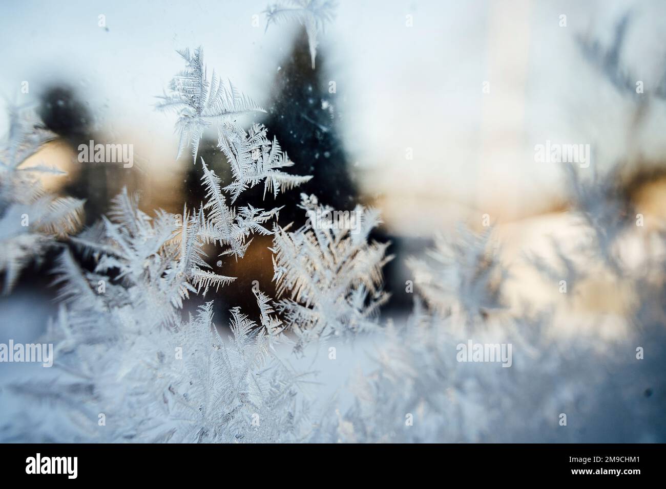 Motif de givre sur la fenêtre en lumière dorée Banque D'Images