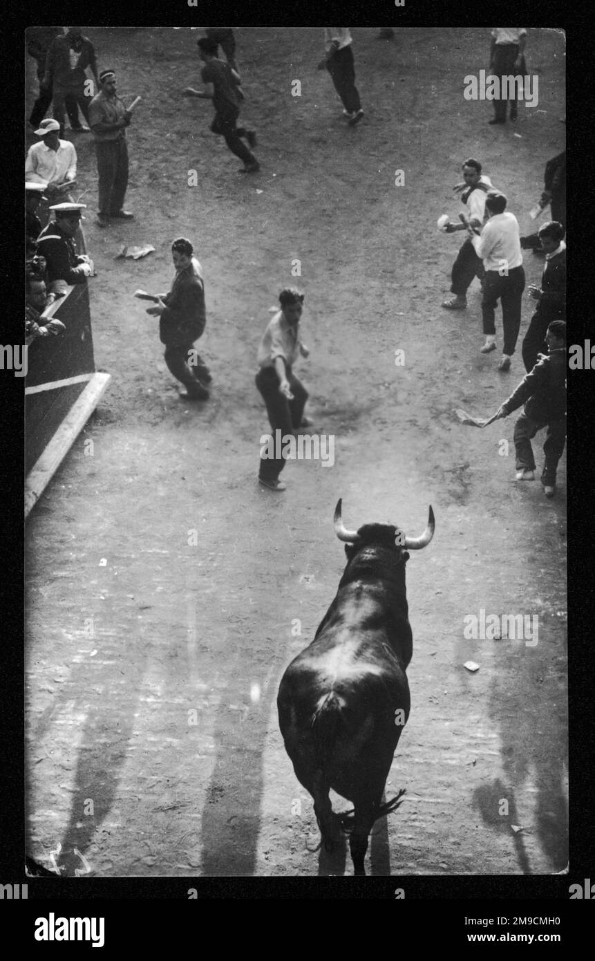 La fête de Saint-Fermin catholique est associée à l'Encierro ou à la course des Bulls à Pampelune (capitale de Navarre - Espagne) rendue célèbre par Ernest Hemmingway Banque D'Images