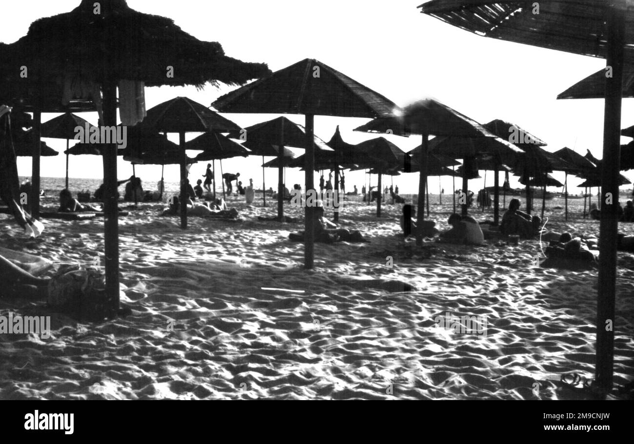Un modèle de forme, de lumière et d'ombre fait par un groupe de parasols Sun Shade sur le sable ensoleillé d'une plage sur l'île de Kos, Grèce Banque D'Images