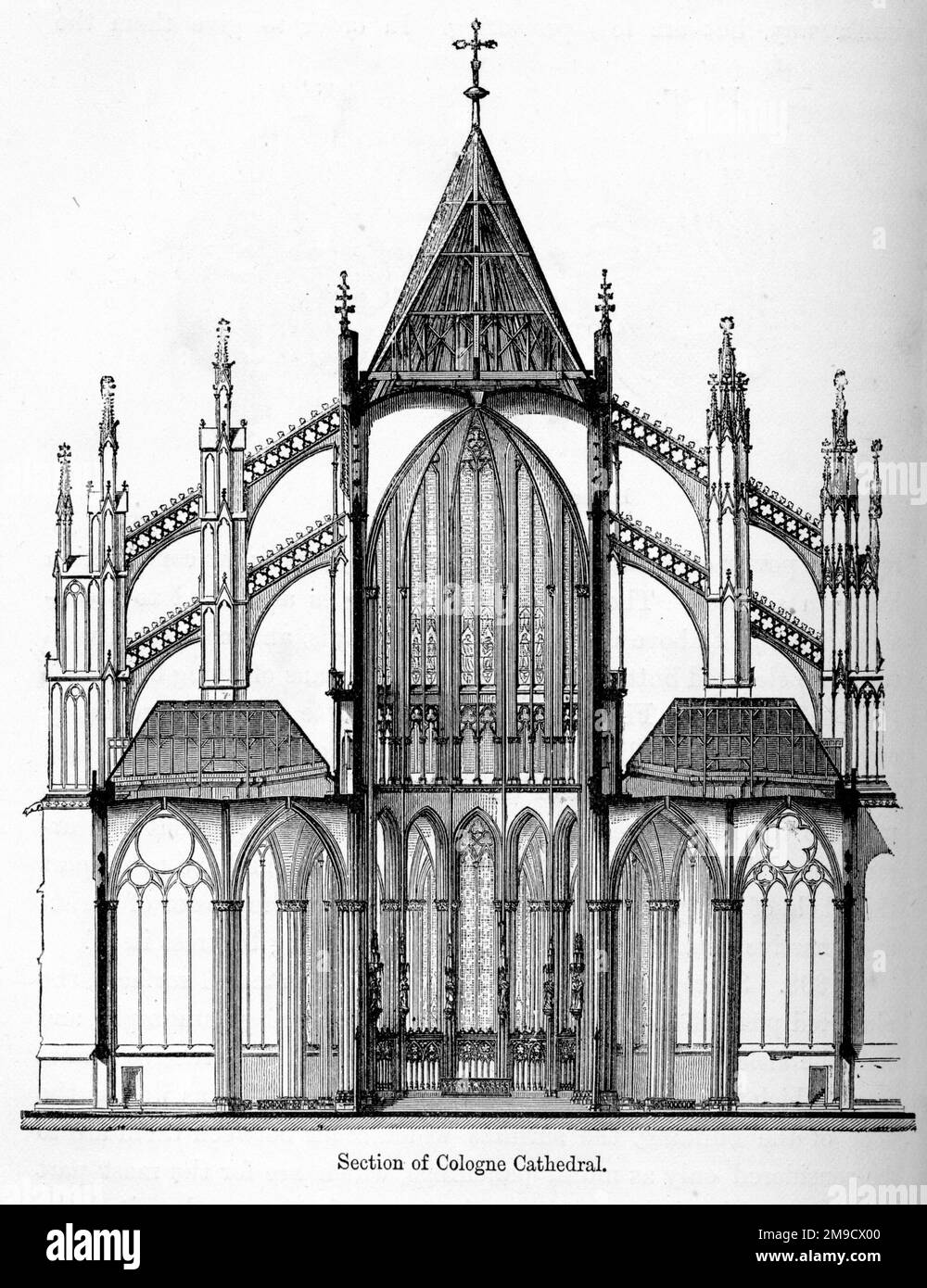 Section de la cathédrale de Cologne (contreforts volants) Banque D'Images