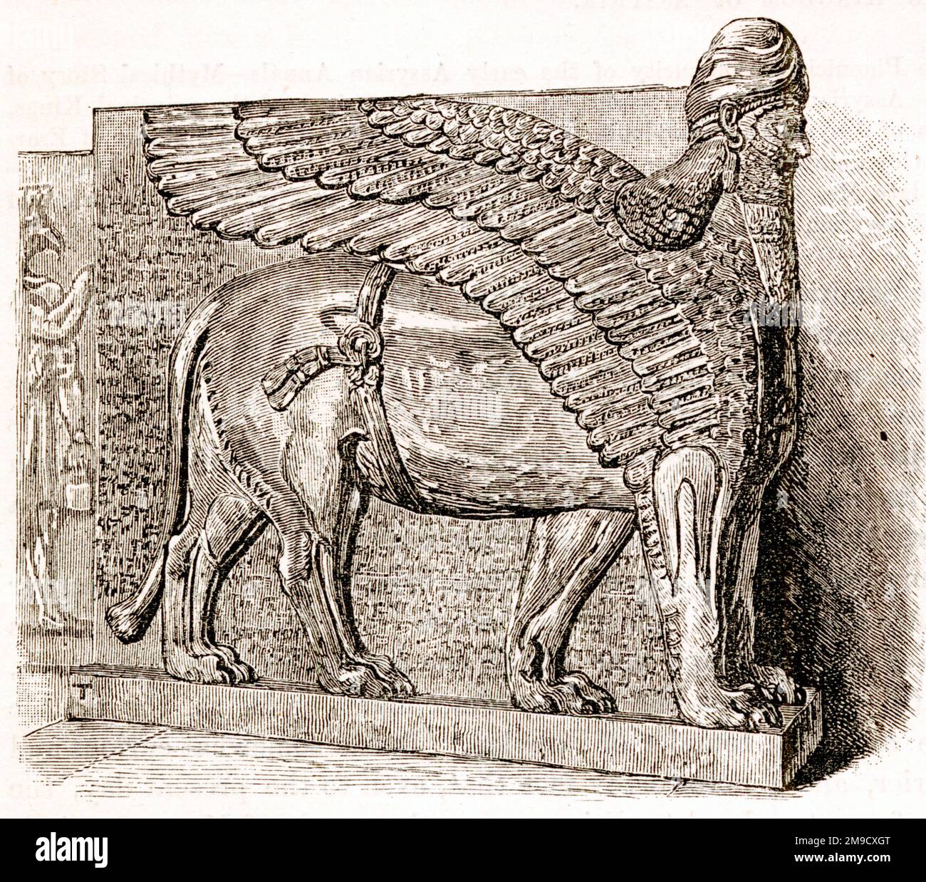 Statue du Lion d'Assyrie à tête humaine Banque D'Images