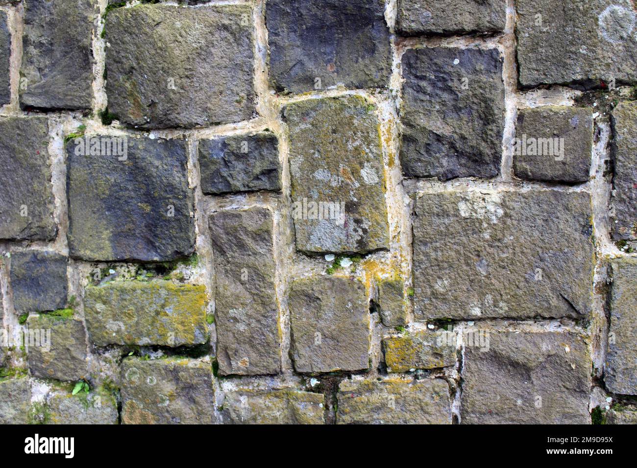 Mur en pierre avec mousse de sanctuaire de Smet-en-danger à Java. Pris en juillet 2022 Banque D'Images