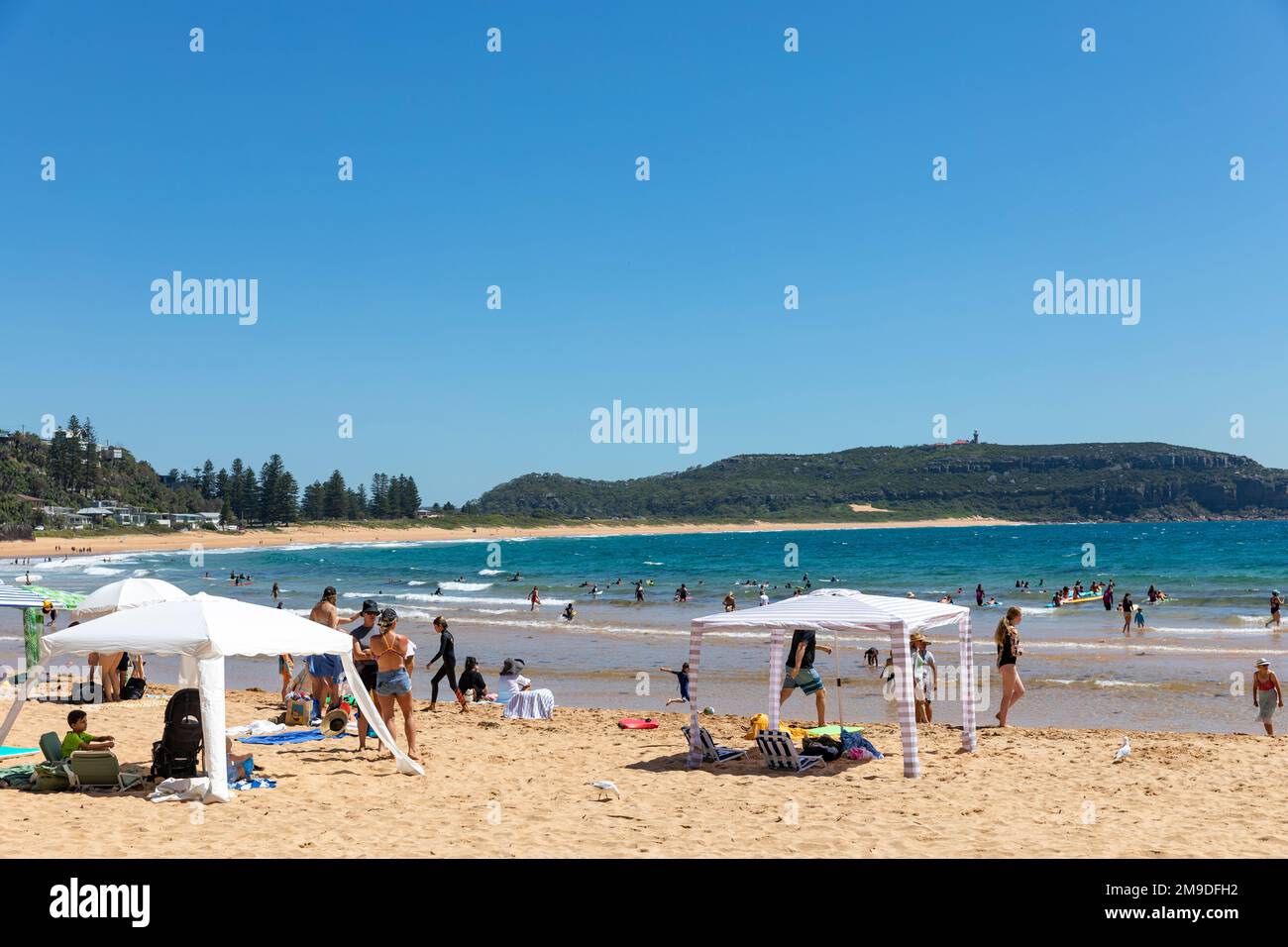 Palm Beach Sydney Australie mercredi 18th janvier 2023. Les températures à travers Sydney montent au-dessus de 30 degrés, mais le temps chaud ne durera pas comme des vents forts et dangereux sont prévus ce soir et de fortes précipitations sont également attendues au cours de la semaine prochaine, car la Nina continue d'avoir un impact sur les modèles météorologiques crédit: martin berry/Alay Live News Banque D'Images