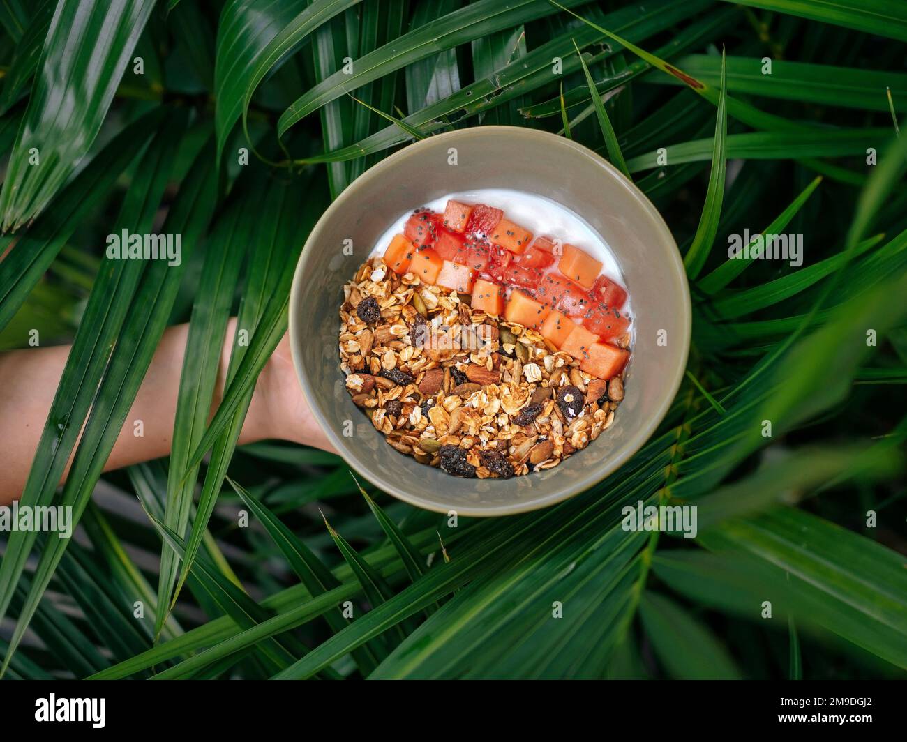 Vue d'en haut à papaye muesli. Banque D'Images