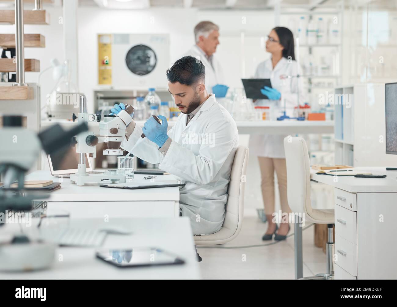 Maintenant pour observer ce qui se passe ensuite. un jeune scientifique travaillant avec des échantillons dans un laboratoire. Banque D'Images