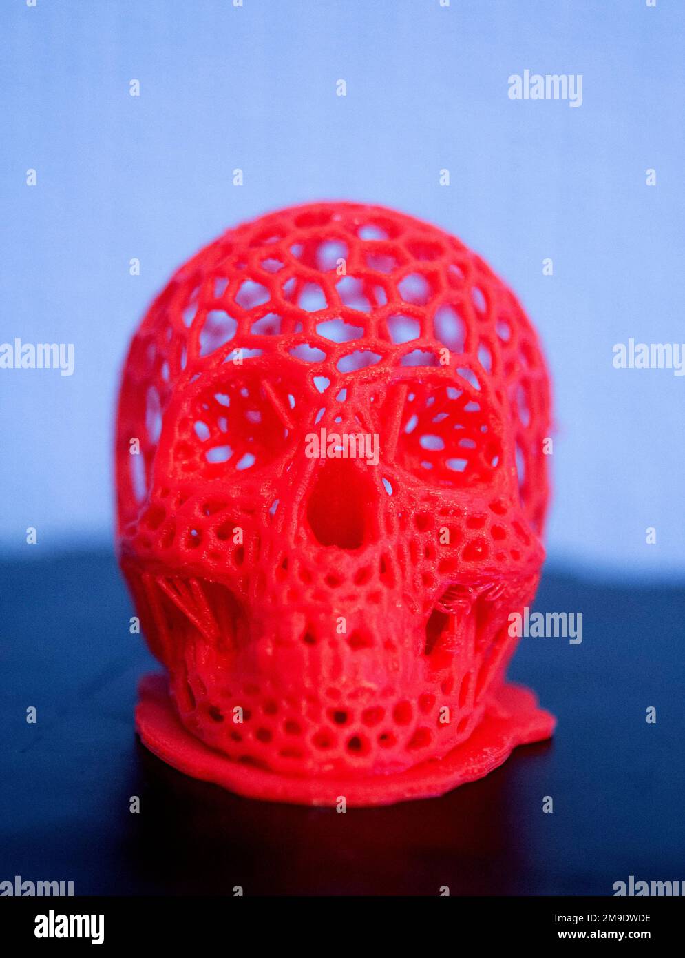 3D prototype de crâne humain imprimé imprimé en plastique rouge gros plan. Banque D'Images