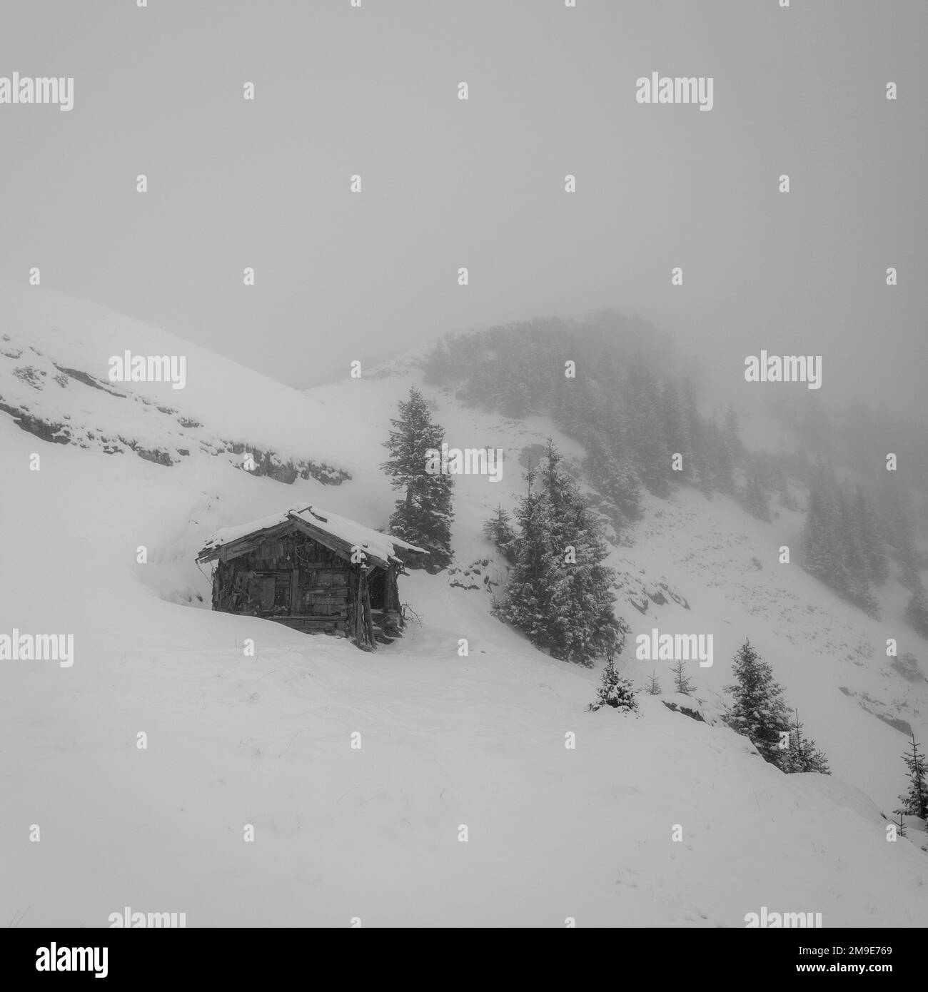 Pente de montagne et cabane dans le brouillard avec le sapin et la neige en hiver, Nagl Huettn, Soinswand, Wendelstein, Oberaudorf, Bavière, Allemagne Banque D'Images