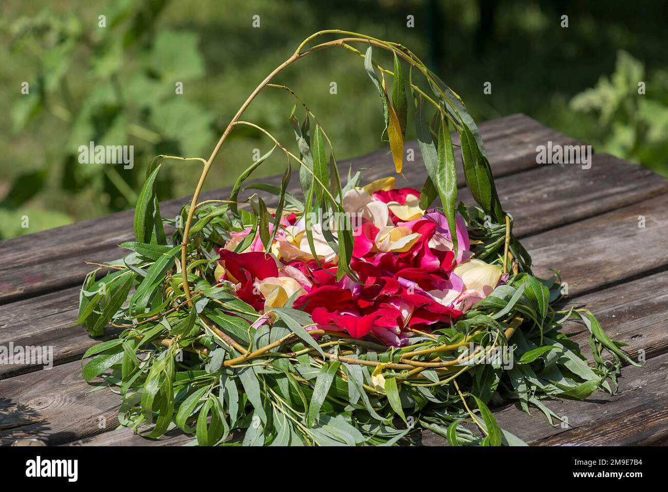 Panier en osier avec pétales de rose pour un mariage, Mecklembourg-Poméranie occidentale, Allemagne Banque D'Images