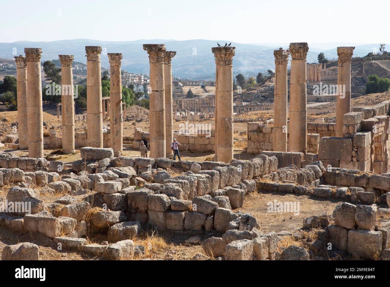 Colonnes dans l'ancienne ville de Gerasa, Jerash, Jodania Banque D'Images