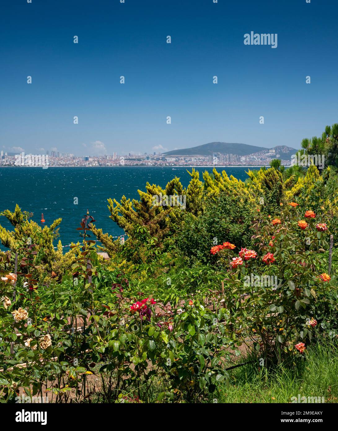 Vue sur la mer de Marmara à Istanbul depuis le magnifique jardin de roses avec les îles Adalar par une belle journée d'été. Turquie Banque D'Images