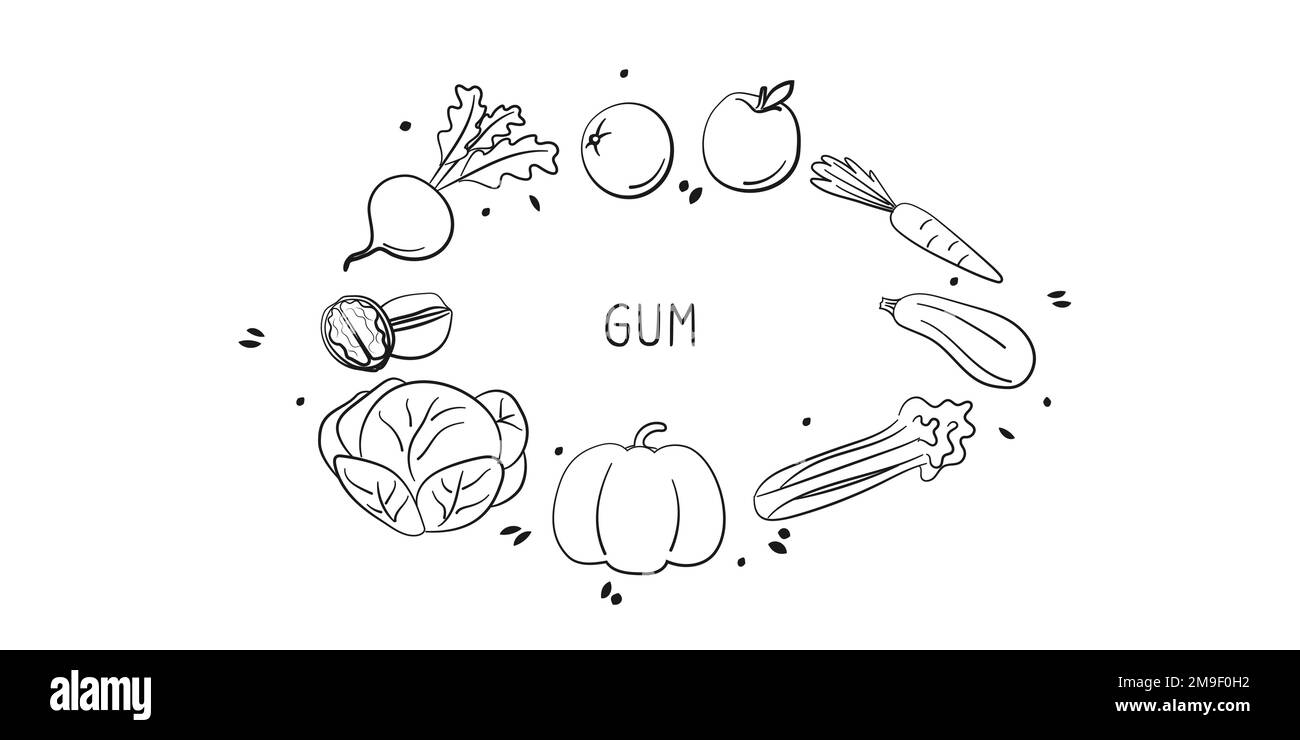 Aliments contenant de la gomme. Groupes de produits sains contenant des vitamines et des minéraux. Ensemble de fruits, légumes, viandes, poissons et produits laitiers Illustration de Vecteur