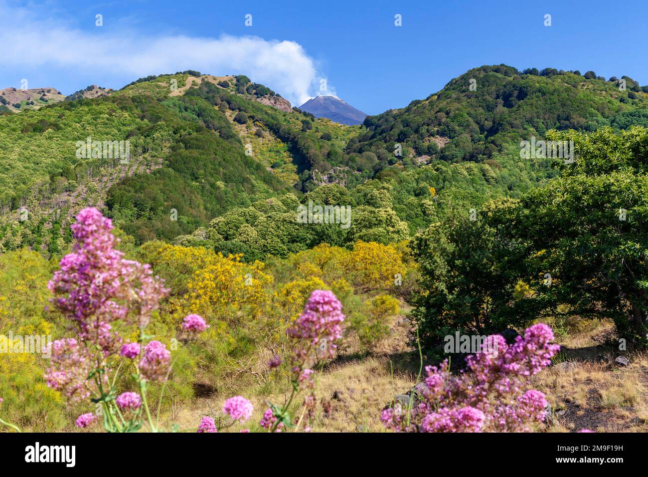 Vue lointaine sur l'Etna, le plus haut volcan d'Europe Banque D'Images