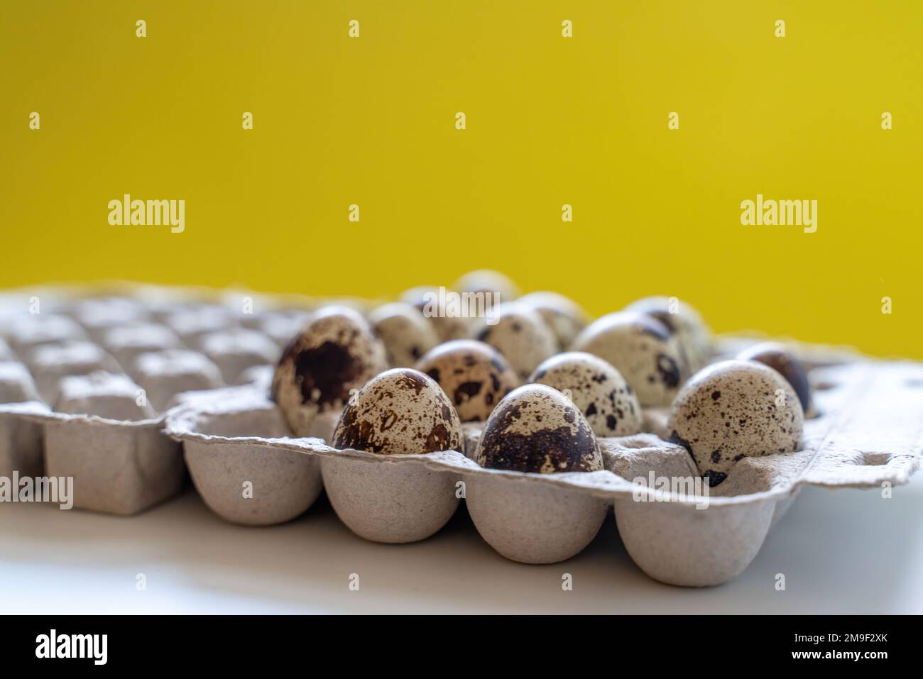 Œufs de caille tachetée dans une boîte à œufs sur fond jaune, produits écologiques naturels. Banque D'Images