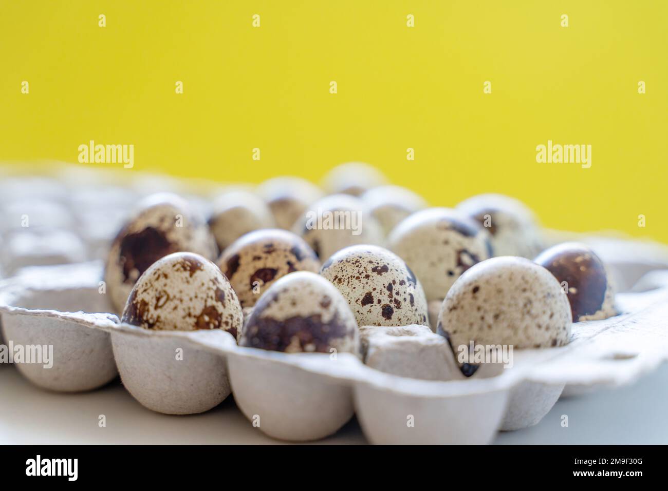 Œufs de caille tachetée dans une boîte à œufs sur fond jaune, produits écologiques naturels. Banque D'Images