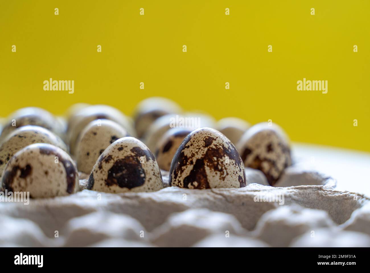 Œufs de caille tachetée dans une boîte à œufs sur fond jaune, produits écologiques naturels. Banque D'Images