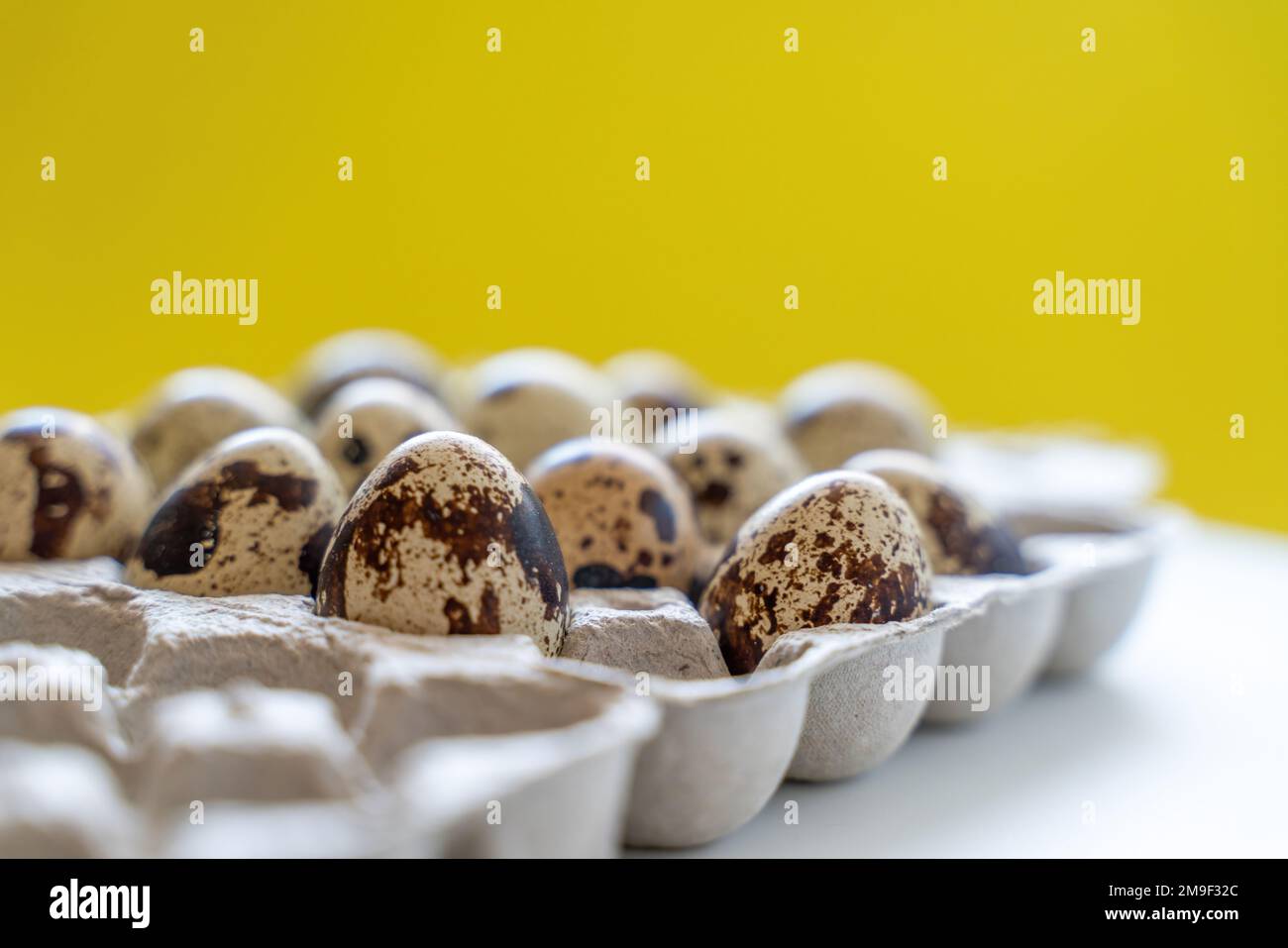 Œufs de caille tachetée dans une boîte à œufs sur fond jaune, produits écologiques naturels. Banque D'Images