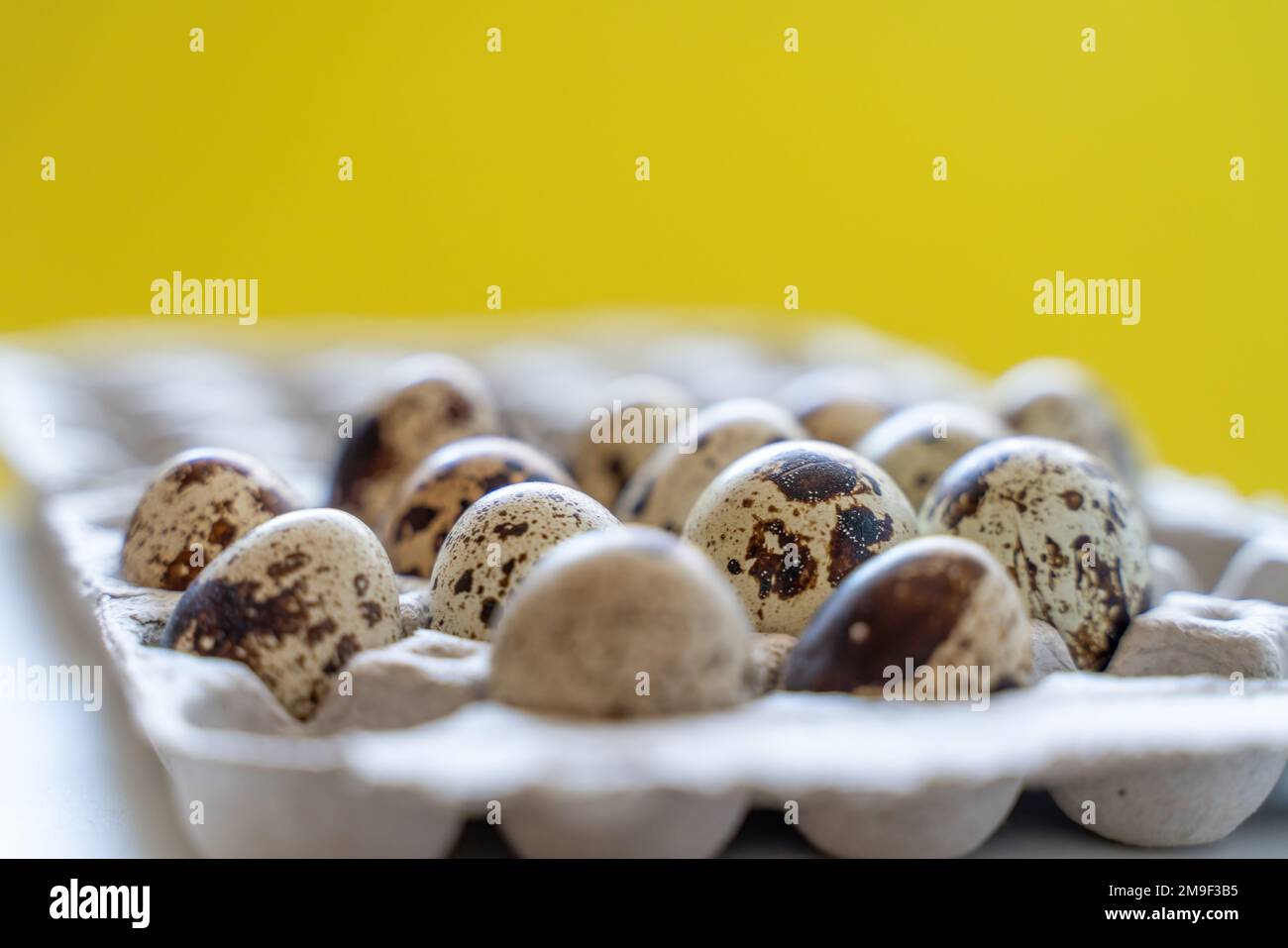 Œufs de caille tachetée dans une boîte à œufs sur fond jaune, produits écologiques naturels. Banque D'Images