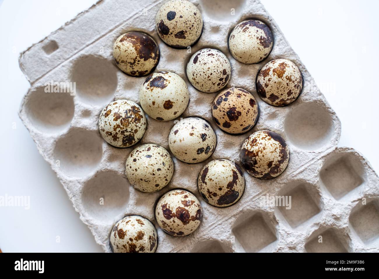 Œufs de caille tachetée dans une boîte à œufs sur fond clair, produits naturels écologiques. Banque D'Images