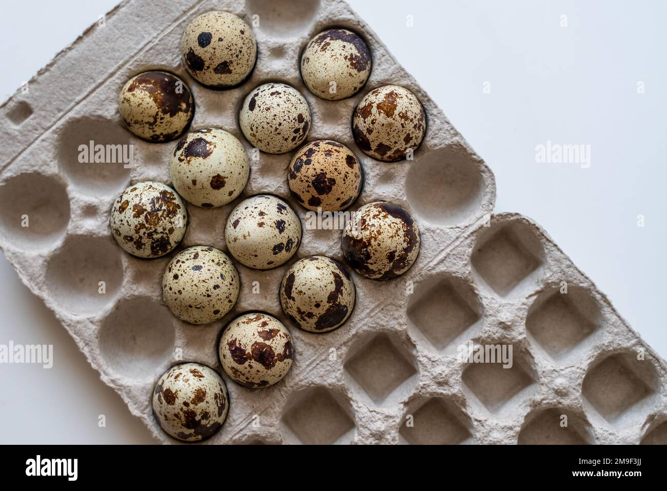 Œufs de caille tachetée dans une boîte à œufs sur fond clair, produits naturels écologiques. Banque D'Images