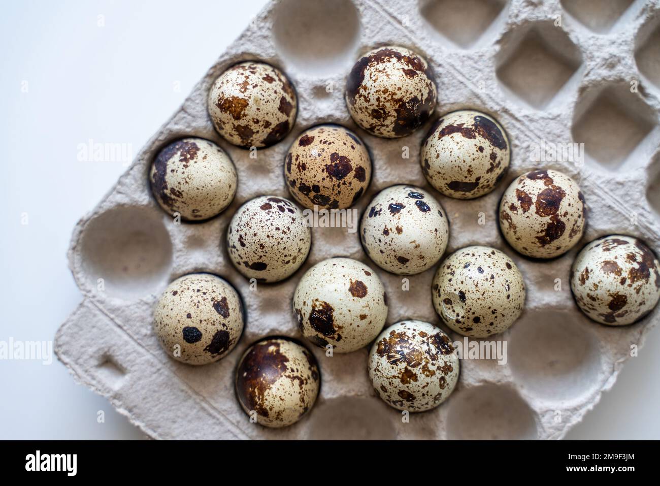 Œufs de caille tachetée dans une boîte à œufs sur fond clair, produits naturels écologiques. Banque D'Images