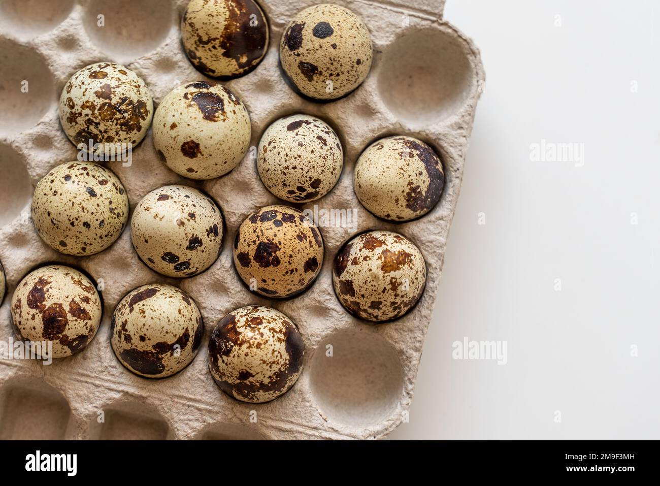 Œufs de caille tachetée dans une boîte à œufs sur fond clair, produits naturels écologiques. Banque D'Images