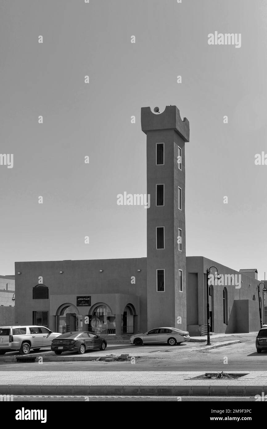 Mosquée B&W. Banque D'Images