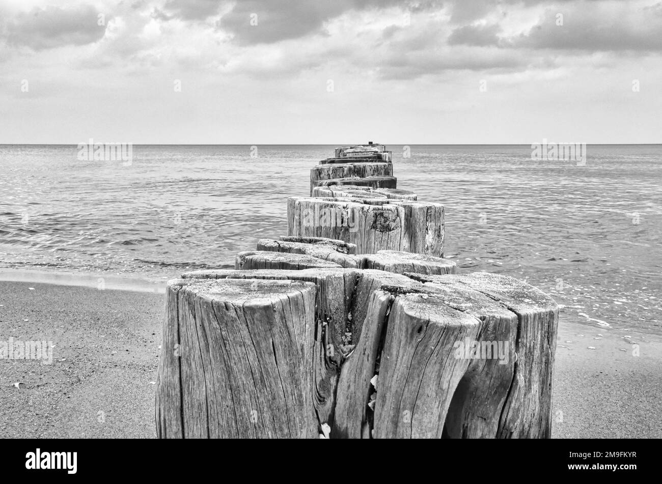 Groyne entrant dans la mer Baltique. Image en noir et blanc de la mer sur la côte allemande. Paysage de la nature Banque D'Images