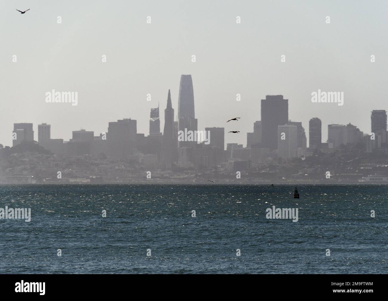 Vue de l'autre côté de la baie depuis le port de Sausalito vers un horizon de San Francisco enveloppé de brume. Banque D'Images