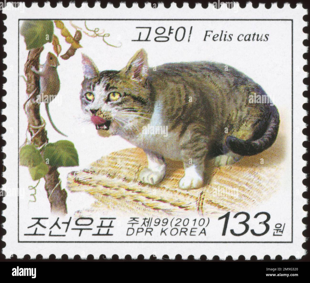 Timbre-poste nord-coréen de 2010 représentant un chat tabby regardant une souris sur une vigne, faisant partie d'une série de chats domestiques. Banque D'Images