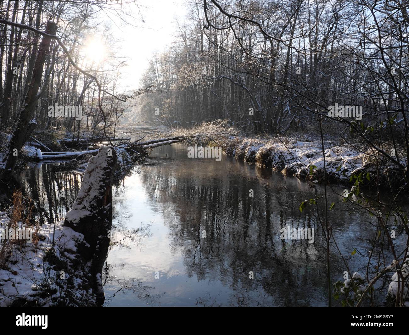 Paysage fluvial d'hiver original de Warnow près de Klein Raden dans le Mecklembourg-Poméranie occidentale Banque D'Images