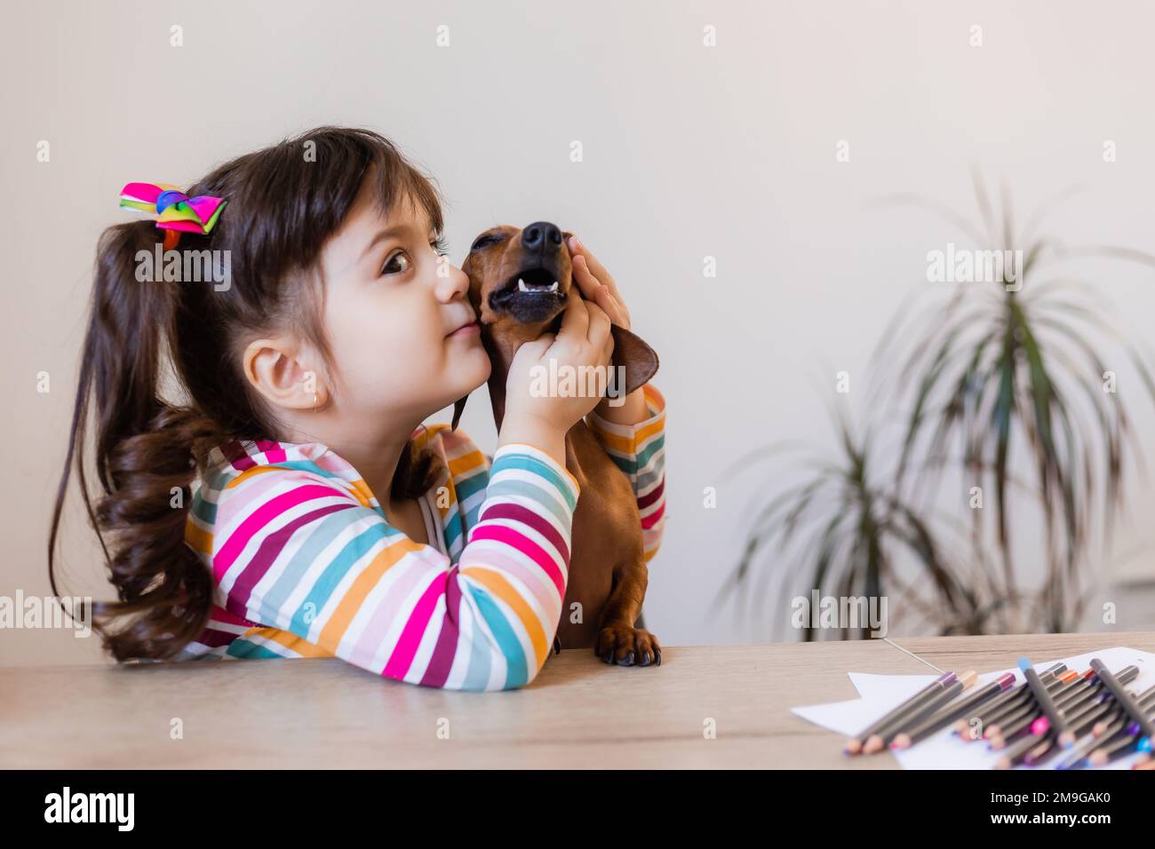 une petite fille heureuse regarde le téléphone avec un petit chien de dachshund. Éducation préscolaire. Enfants et animaux Banque D'Images