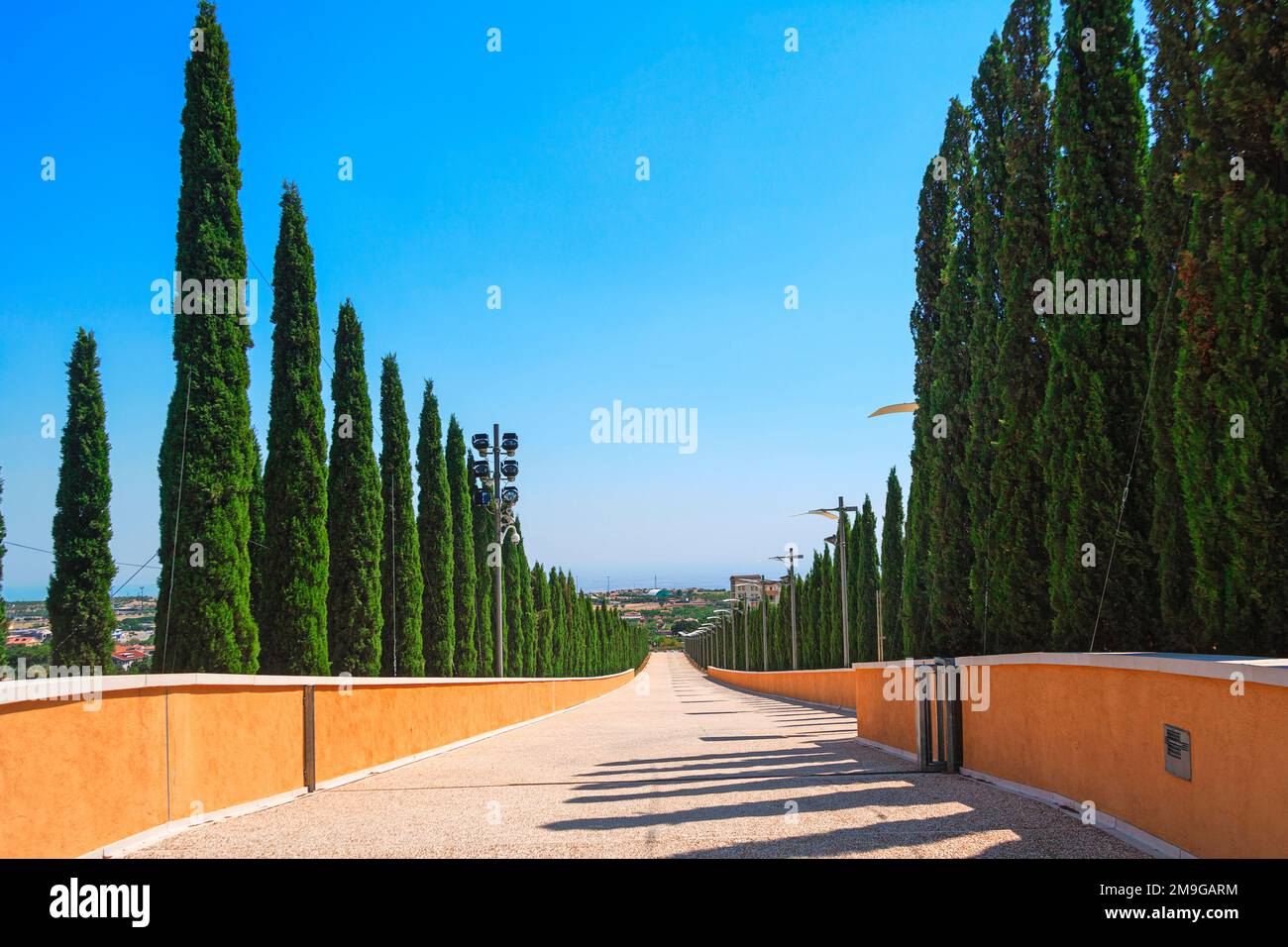 Route bordée de cyprès, Sanctuaire de Saint Pio de Pietrelcina, San Giovanni Rotondo, Apulia, Italie Banque D'Images