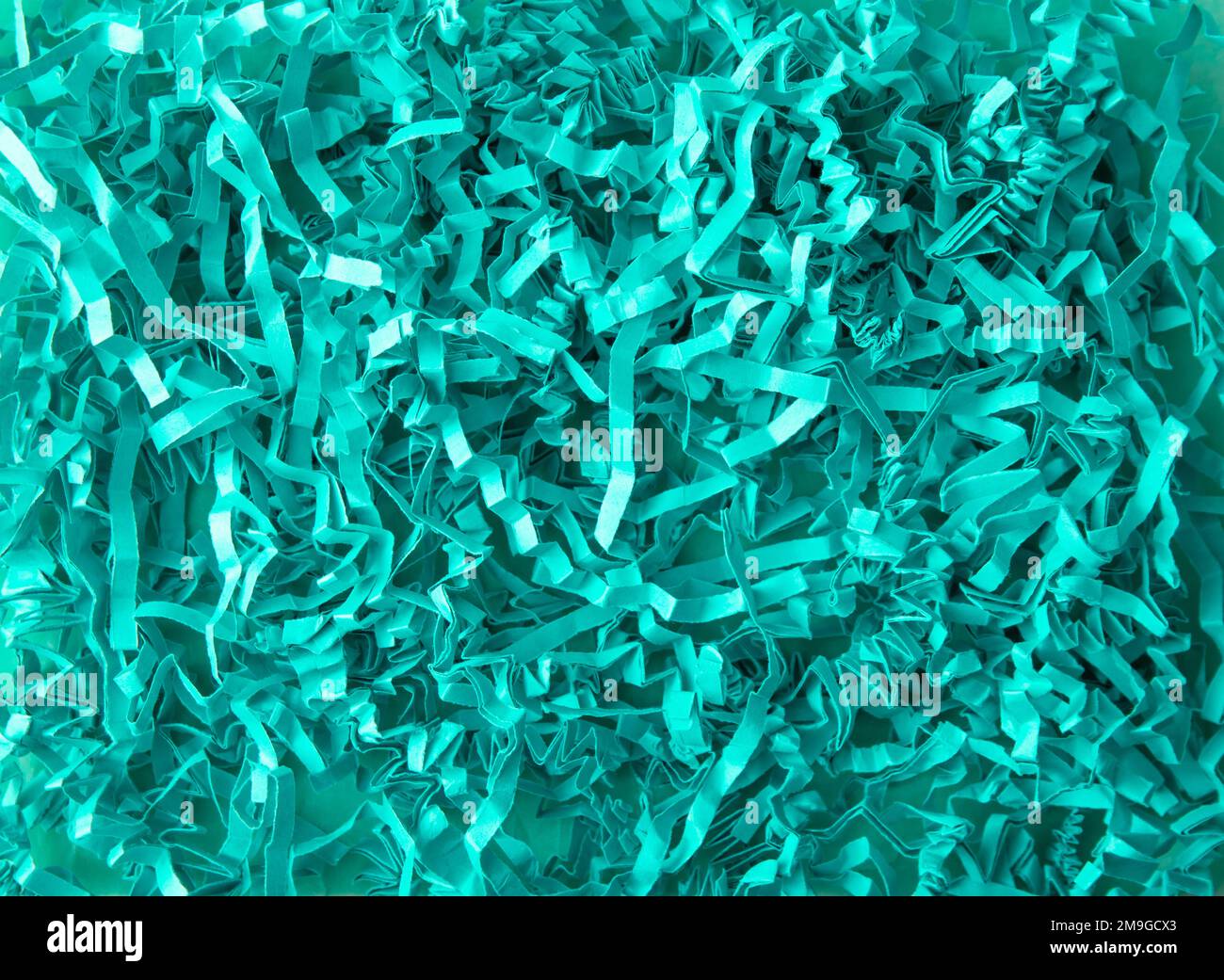 Papier déchiqueté couleur vert menthe - fond de remplissage de boîte-cadeau. Banque D'Images