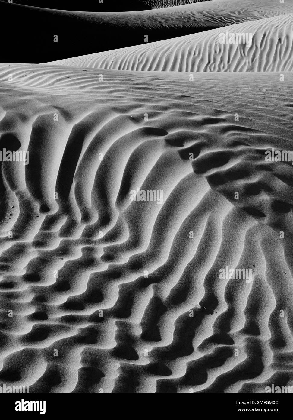 Paysage noir et blanc avec vue sur les dunes de Mesquite Flat, parc national de la Vallée de la mort, désert de Mojave, Californie, États-Unis Banque D'Images