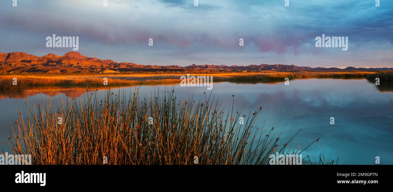 Paysage avec vue sur le marais de la mine Hart au coucher du soleil, le désert de Sonoran, la réserve naturelle nationale de Cibola, Arizona, États-Unis Banque D'Images