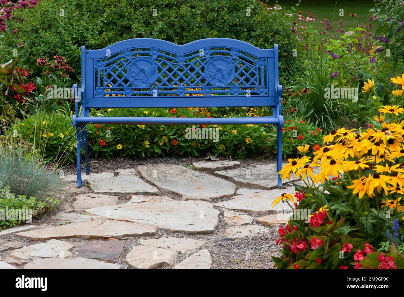 63821-21610 Banc bleu dans jardin fleuri. Susans à yeux noirs (Rudbeckia hirta) & Red Dragon Wing Begonias (Begonia x hybrida) Marion Co., il Banque D'Images