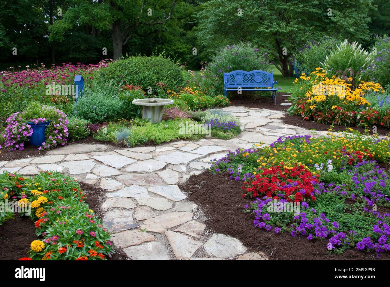 63821-21618 Banc bleu, bain d'oiseau, maison de papillon et chemin de pierre dans jardin de fleurs. Susans à yeux noirs (Rudbeckia hirta) Red Dragon Wing Begonias (BE Banque D'Images