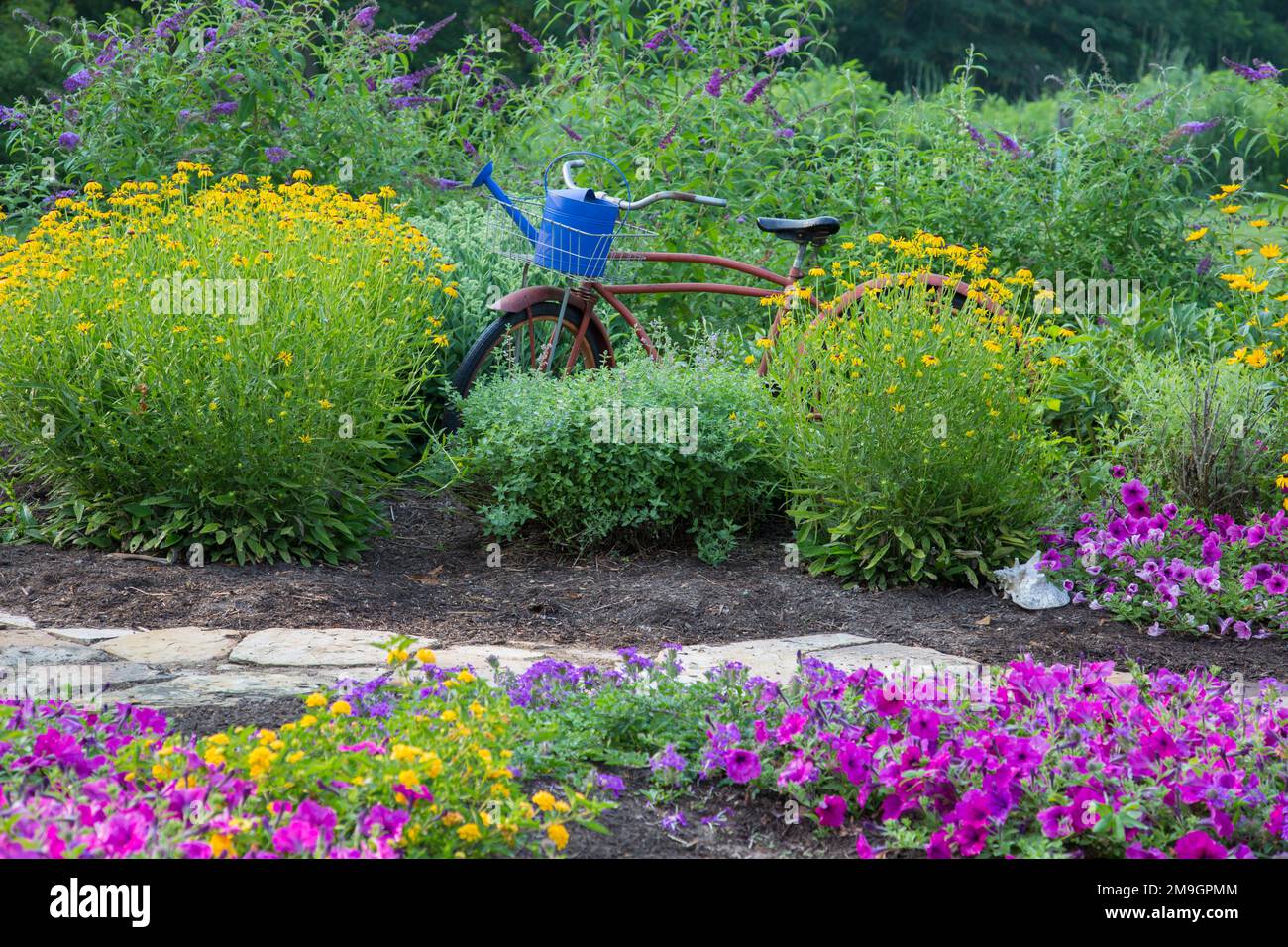 63821-23315 avec jardin de fleurs pourpre Homestead Verveine, Verveine jaune, rose vague Pétunias, vieux vélo Marion Co., IL (PR) Banque D'Images