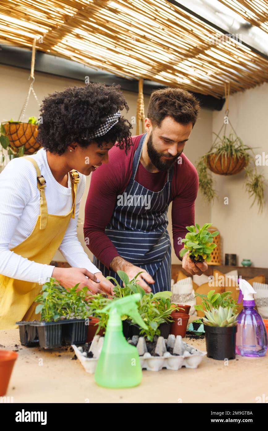 Jeune couple biracial portant des tabliers et jardinant de petites plantes sur une table à la maison Banque D'Images